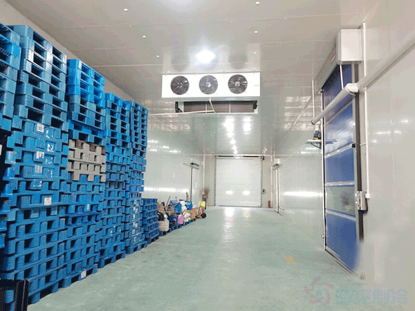 箭齒鰈魚片冷藏庫儲藏條件，箭齒鰈魚冷庫溫度要求