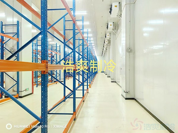 三類醫療要求冷凍室和冷藏室多大？造價預算多少錢？