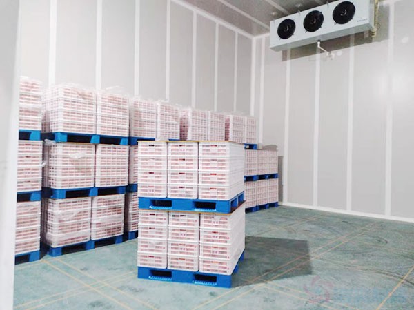 生果保鮮冷庫建造價格多少錢？生果保鮮冷庫造價表