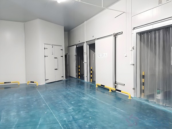 上海生物醫藥冷庫安裝造價多少錢？