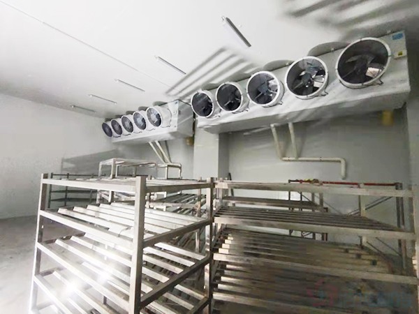 建造1000立方冷凍庫配多大壓縮機？造價預算多少錢？