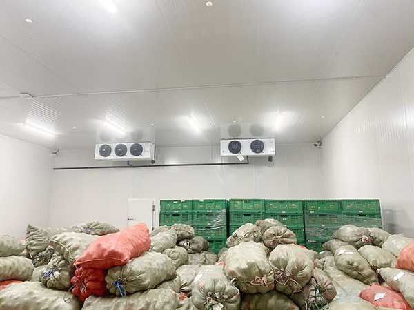 影響蔬菜保鮮冷庫(kù)建造價(jià)格的因素有哪些？