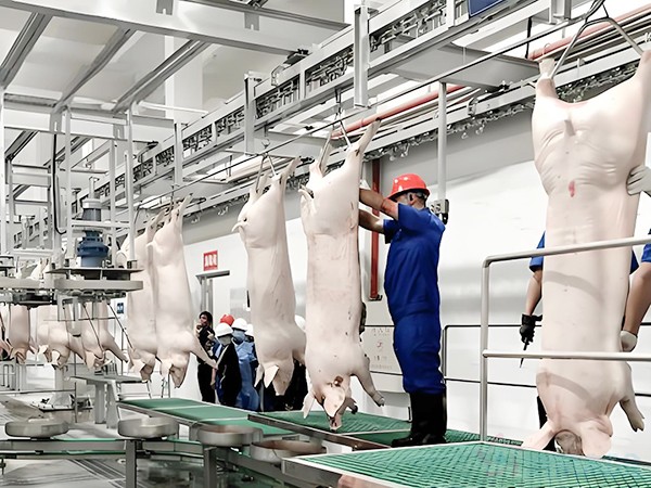 屠宰場冷庫一般都在車間內嗎？速凍間是冷庫嗎？