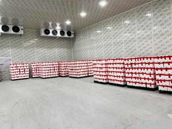 100噸水果保鮮冷庫造價預算大概多少錢？