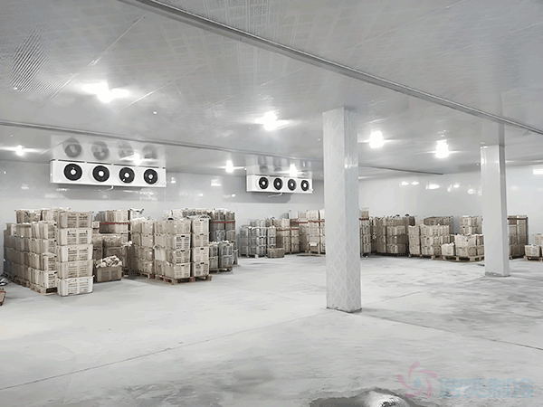 上海茶葉冷庫安裝