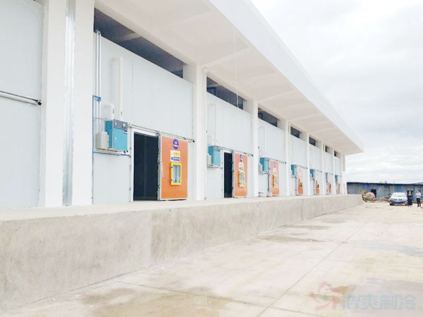 湖南果蔬周轉冷庫建造施工