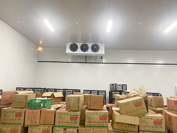 福建生鮮果蔬冷庫造價(jià)表