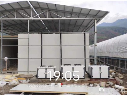 四川桑枝食用菌現代農業園區氣調保鮮冷庫工程建造案例