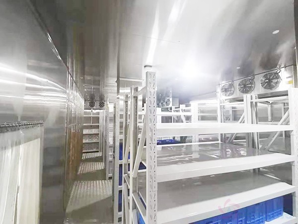 血液超低溫冷庫建設