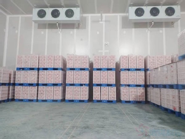 氣調保鮮庫造價