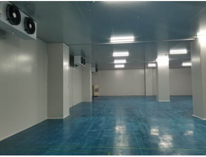 伊利乳業高標準乳制品加工冷鏈倉儲冷庫建造工程案例