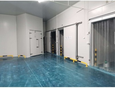 伊利乳業高標準乳制品加工冷鏈倉儲冷庫建造工程案例