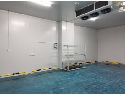 伊利乳業高標準乳制品加工冷鏈倉儲冷庫建造工程案例