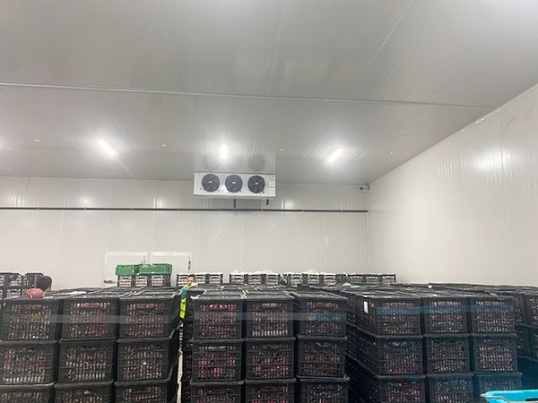 50噸蘋(píng)果冷庫(kù)建設(shè)