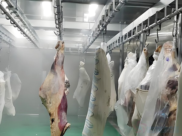 屠宰冷庫(kù)建設(shè)