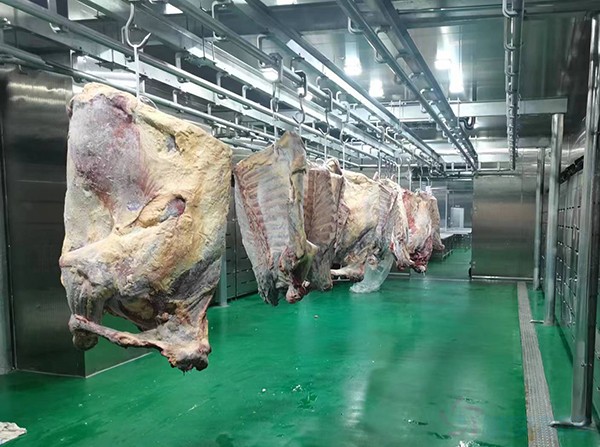 肉類出口加工冷庫