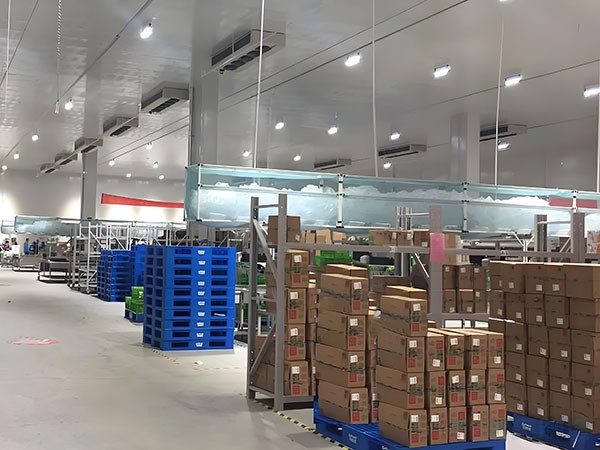 果蔬冷鏈倉儲冷庫建造