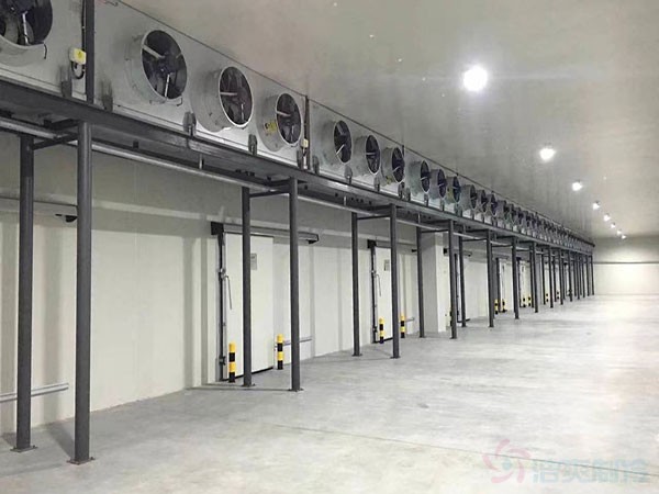 速凍冷庫建造